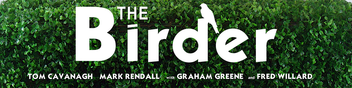 thebirderweb1